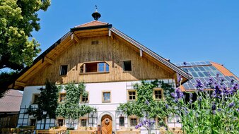 Renoviertes Bauernhaus mit Baumspalier und Lavendel | © Windinggut