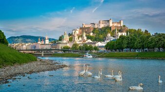 Schwäne, Fluss, Stadt Salzburg mit Festung | © Tourismus Salzburg/Günter Breitegger