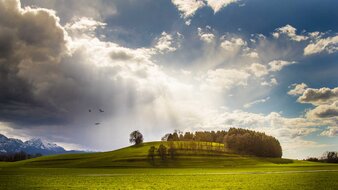 Hügel wird von Sonne beleuchtet | © Tourismusverband Bergheim/Oliver Obermoser