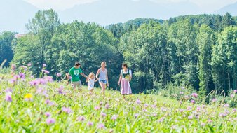Drei Erwachsene und ein Kind spazieren durch eine Blumenwiese | © Tourismusverband Bergheim/Bryan Reinhart