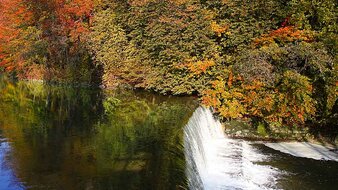 Fließender Bach im Herbst | © Tourismusverband Bergheim