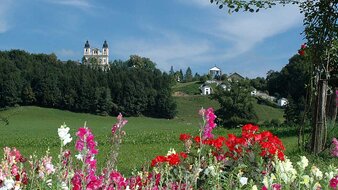 Kirche, Kapellen, Sommerblumen | © Tourismusverband Bergheim