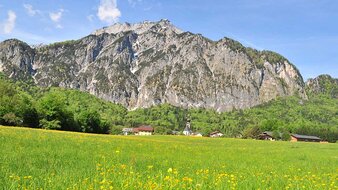 Berg, blühende Wiese | © Tourismusverband Grödig