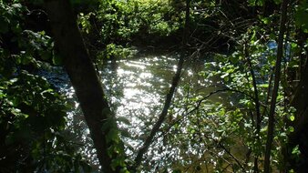 Bach | © Tourismusverband Bergheim