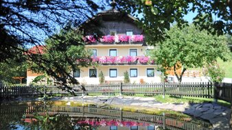 Gelbes Bauernhaus mit üppig blühenden Balkonblumen | © Haus Monika