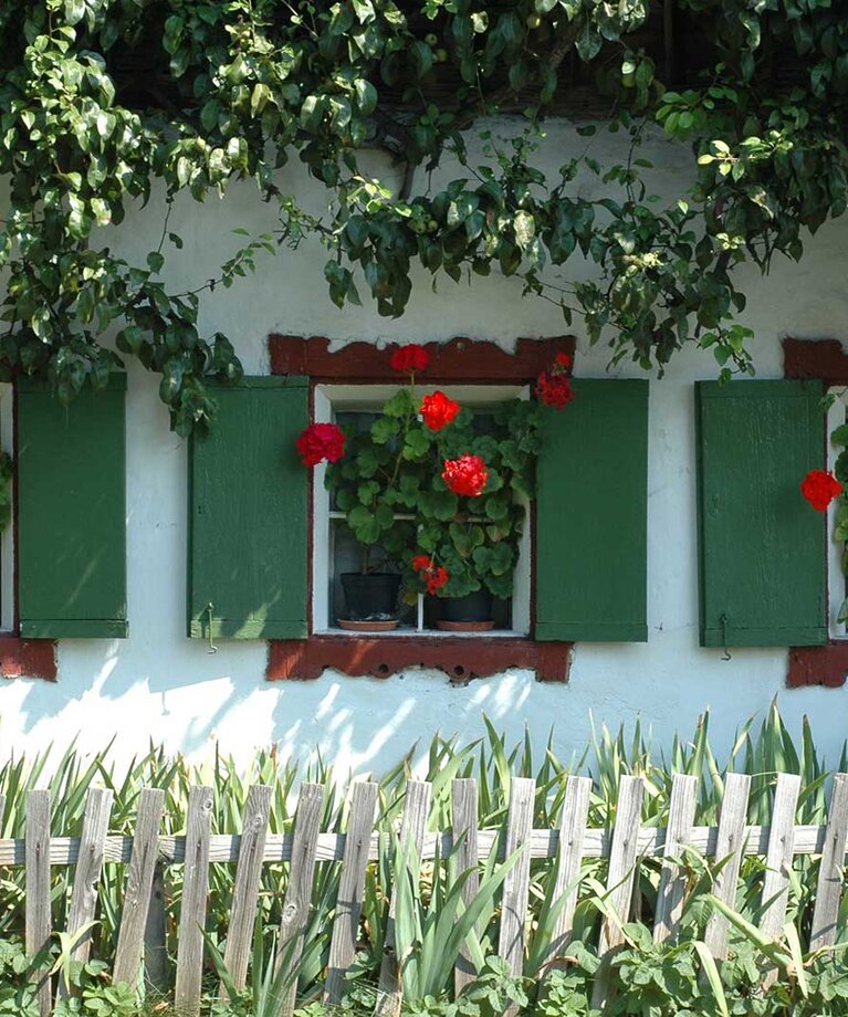 Bauernhausfenster mit Blumen und Holzzaun davor | © Tourismusverband Bergheim
