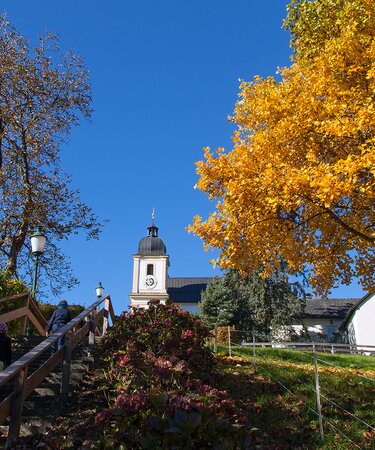 sich verfärbende Bäume, Turm von Wallfahrsbasilika Maria Plain | © TVB-Bergheim/H. Podlipnik