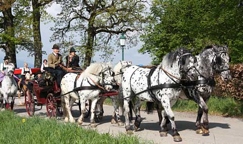 IMG_1859