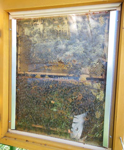 Muster-Bienenstock